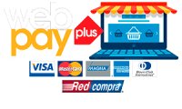 webpaypagina.png